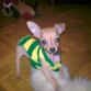 jugando con mi patito de peluche en mi casa!!
